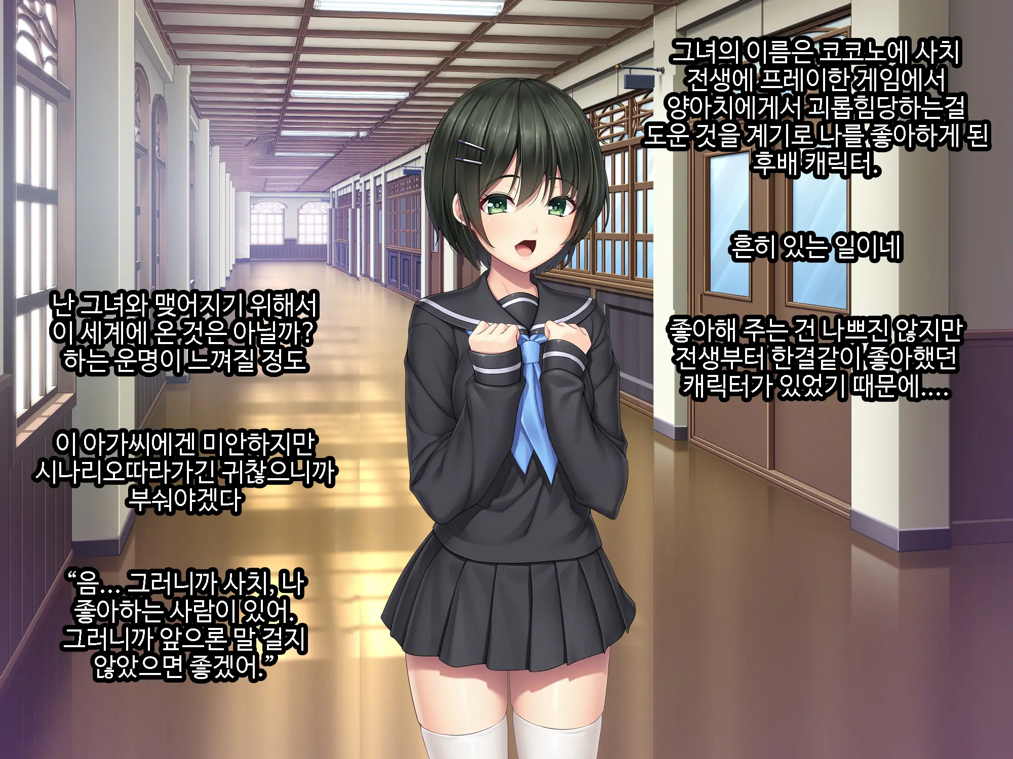 Galge No Heroine O Tasukeru Tame Ni. | 미연시 히로인을 돕기위하여